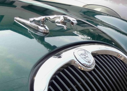 ジャガーのエンブレム スタッフブログ 町田 相模原 横浜の注文住宅 建売住宅なら ライフステージ