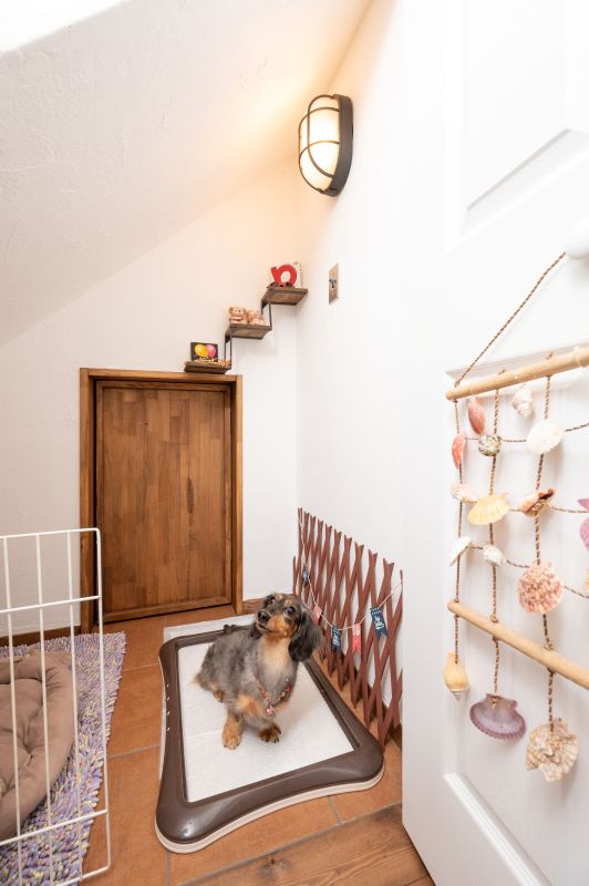 海老名市Ｍ様邸　わんちゃん2